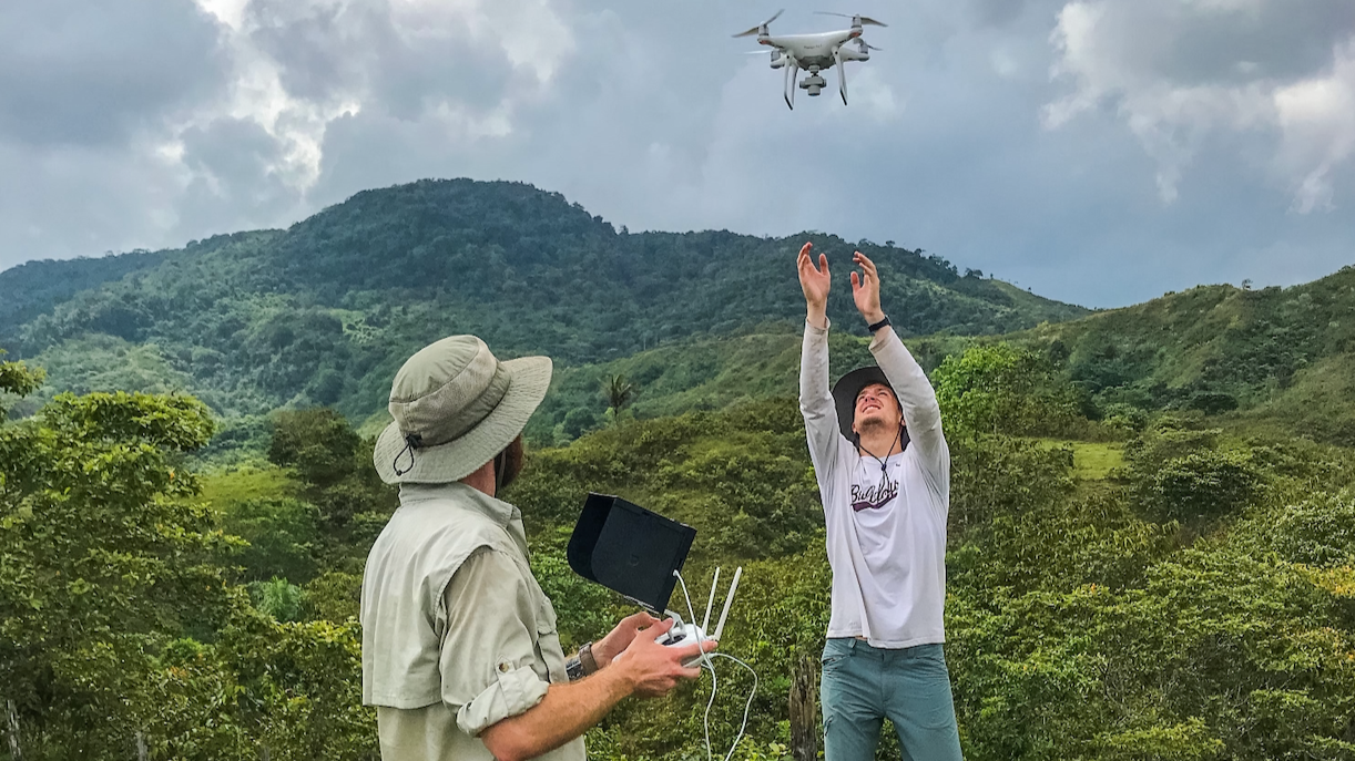AI tools used in rainforest conservation (drones, camera traps, automated insect monitoring)